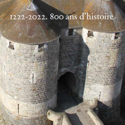 Les deux tours du châtelet d'entrée et le pont dormant en pierre vues de haut
